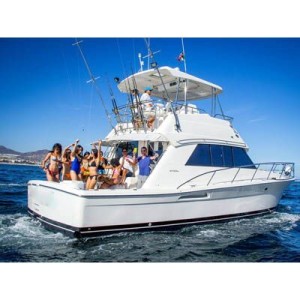 Business Yacht Charter Seattle