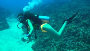 Scuba Diving