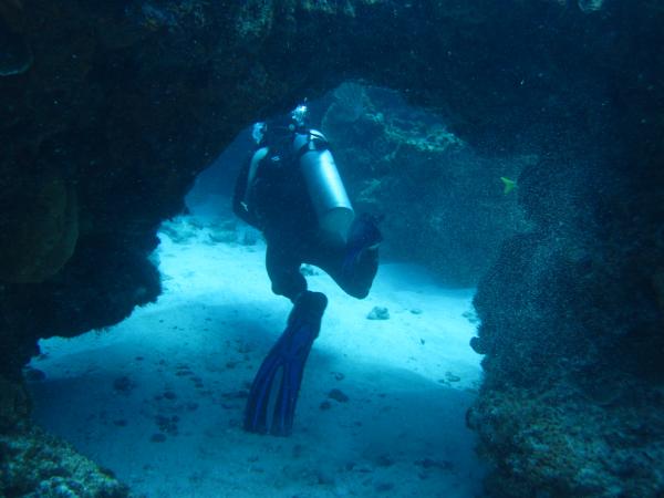 Bandera Reef Scuba Diving Cancun | Pacific Northwest Yacht Charters