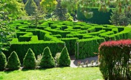 VanDusen_Botanical_Garden_maze