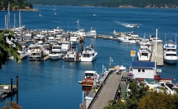 friday harbor view