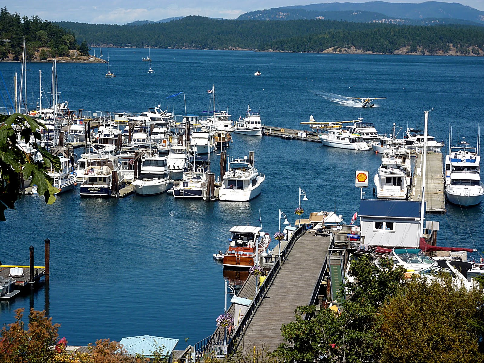 Friday Harbor Pacific Northwest Yacht Charters