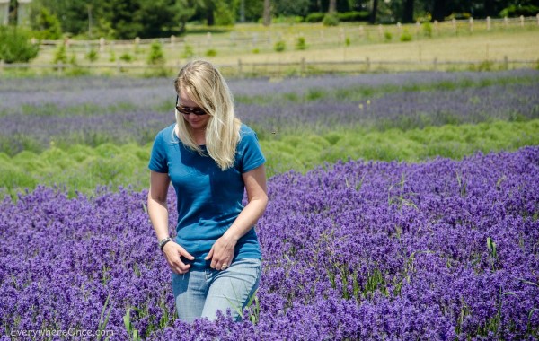 whidbey island lavender farm